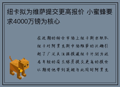 纽卡拟为维萨提交更高报价 小蜜蜂要求4000万镑为核心