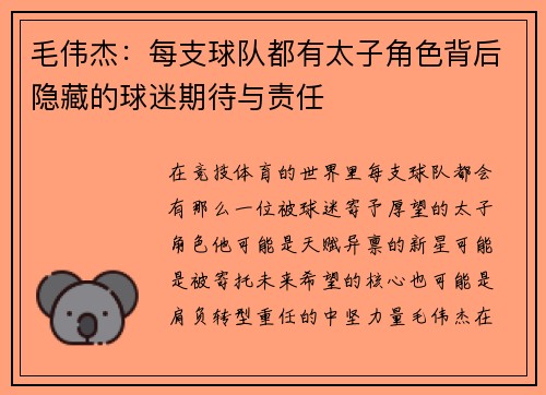 毛伟杰：每支球队都有太子角色背后隐藏的球迷期待与责任